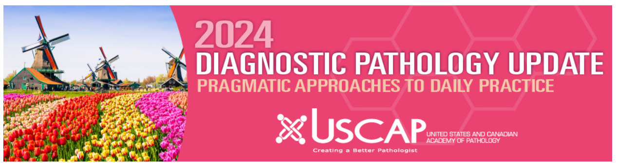 2024 Diagnostic Pathology Update: Pragmatic Approaches to Daily Practice