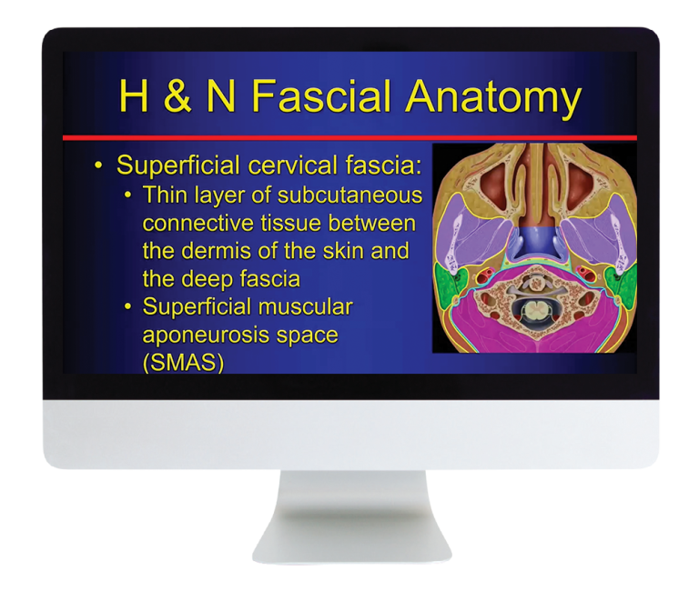 ARRS The Suprahyoid Neck Pathology Through Anatomy 2023