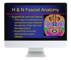 ARRS The Suprahyoid Neck Pathology Through Anatomy 2023