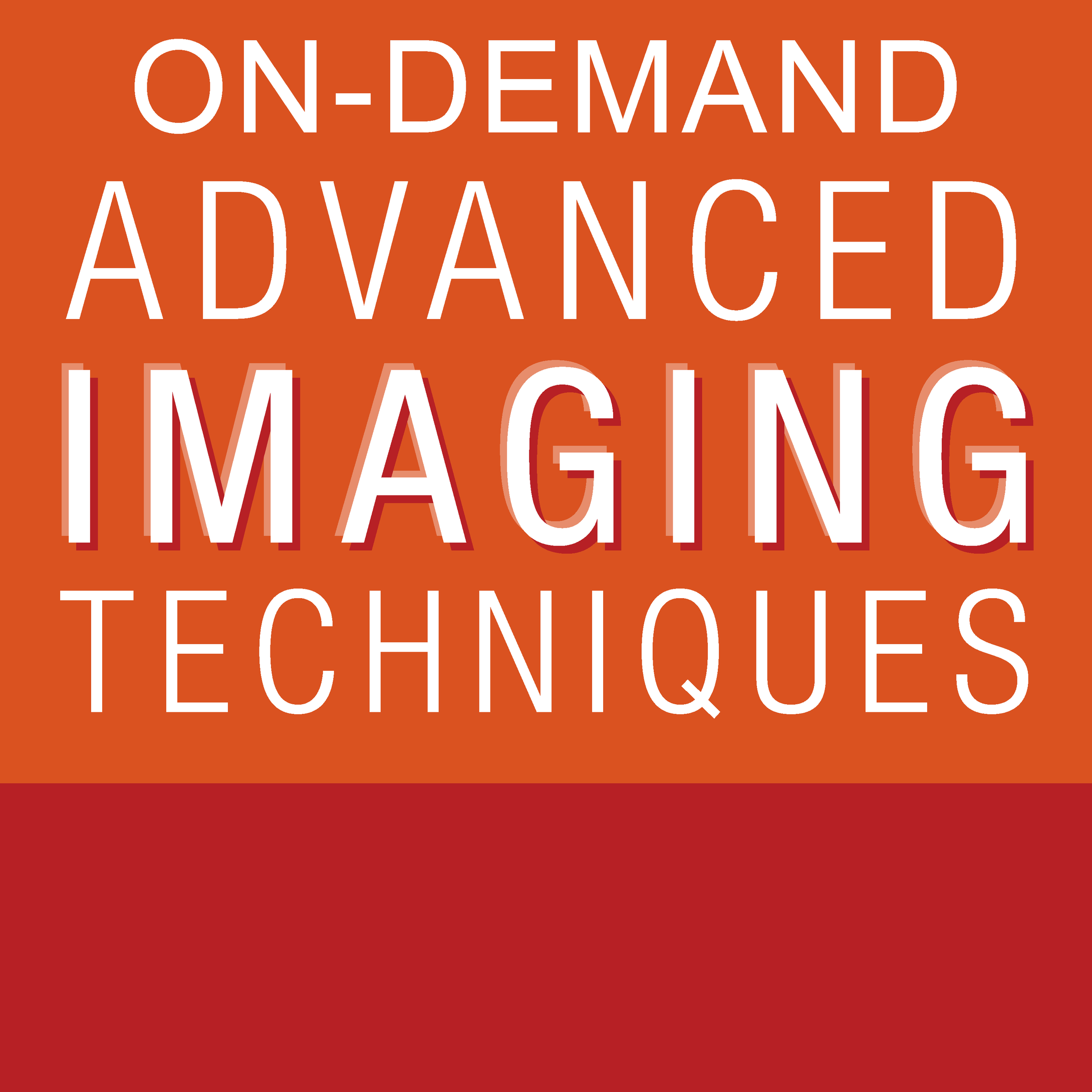 ASE Advanced Imaging Techniques 2022