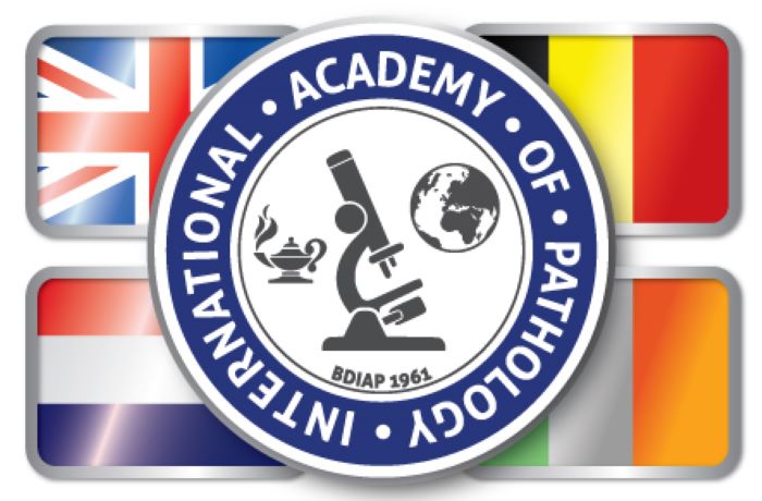 British Division of the International Academy of Pathology 14th Bryan Warren School of Pathology Soft Tissue Pathology 2021