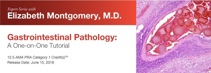 Edusymp 2018 Expert Series with Elizabeth Montgomery, M.D. Gastrointestinal Pathology A One-On-One Tutorial