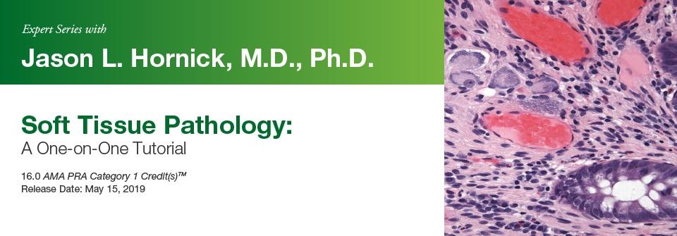 Edusymp 2019 Expert Series with Jason L. Hornick, M.D., Ph.D. Soft Tissue Pathology A One-On-One Tutorial