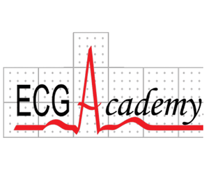 ECG Academy 2020