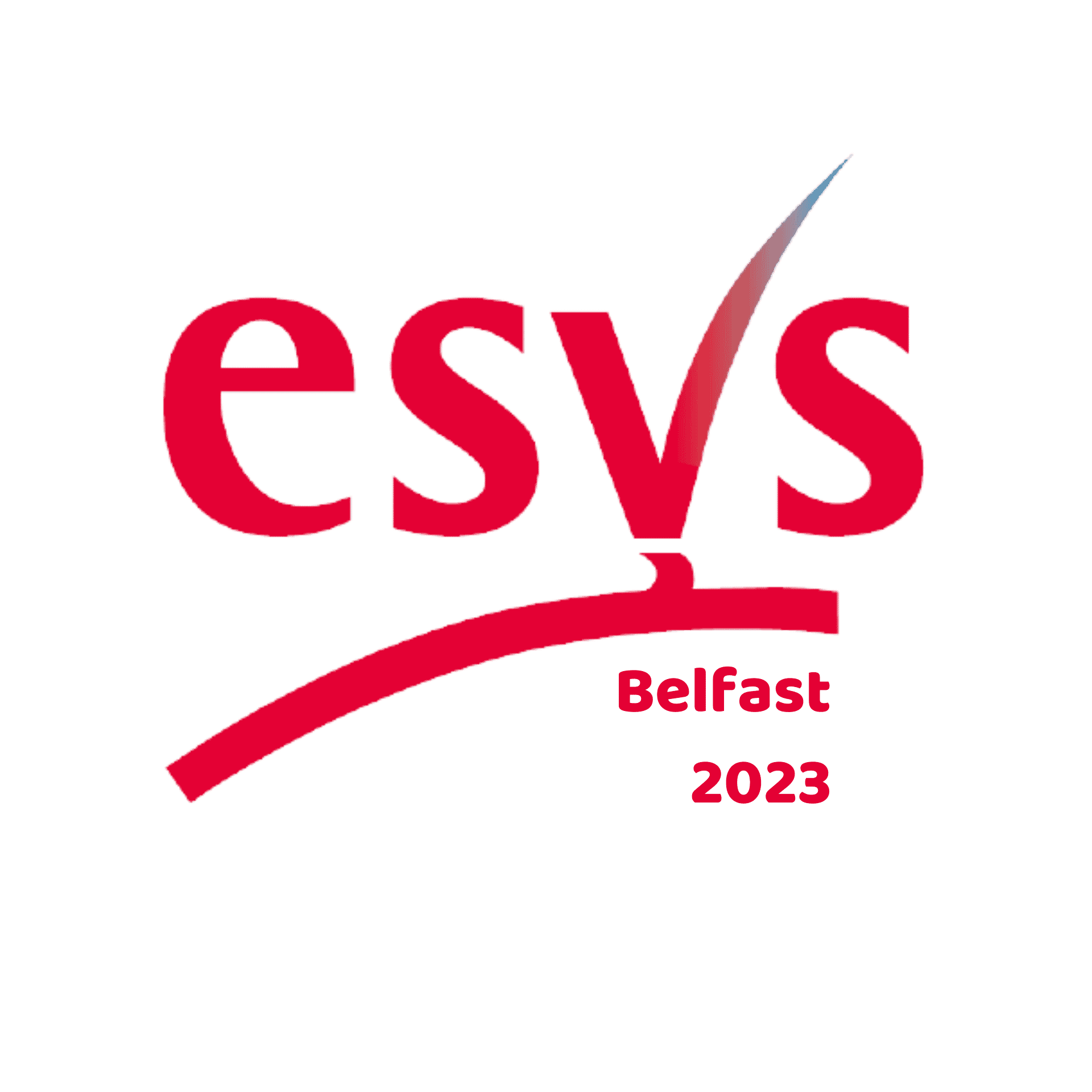 European Society for Vascular Surgery Masterclass 2023