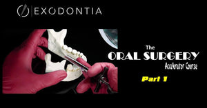 Exodontia Comprehensive Oral Surgery – Jason Hoium Module 1-13