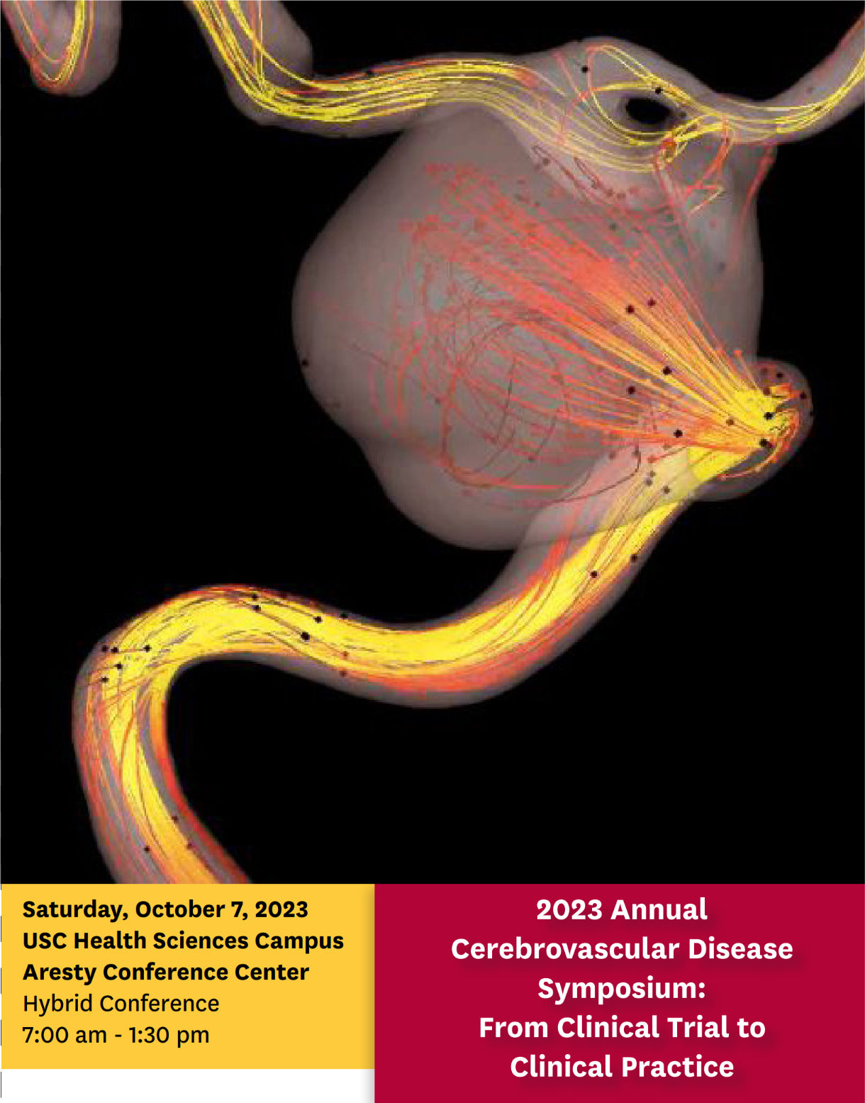 Keck USC Annual Cerebrovascular Disease Symposium From Clinical Trial to Clinical Practice 2023