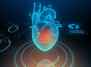 Mayo Clinic 14th Annual Cardiology Update The Heart of the Matter 2023