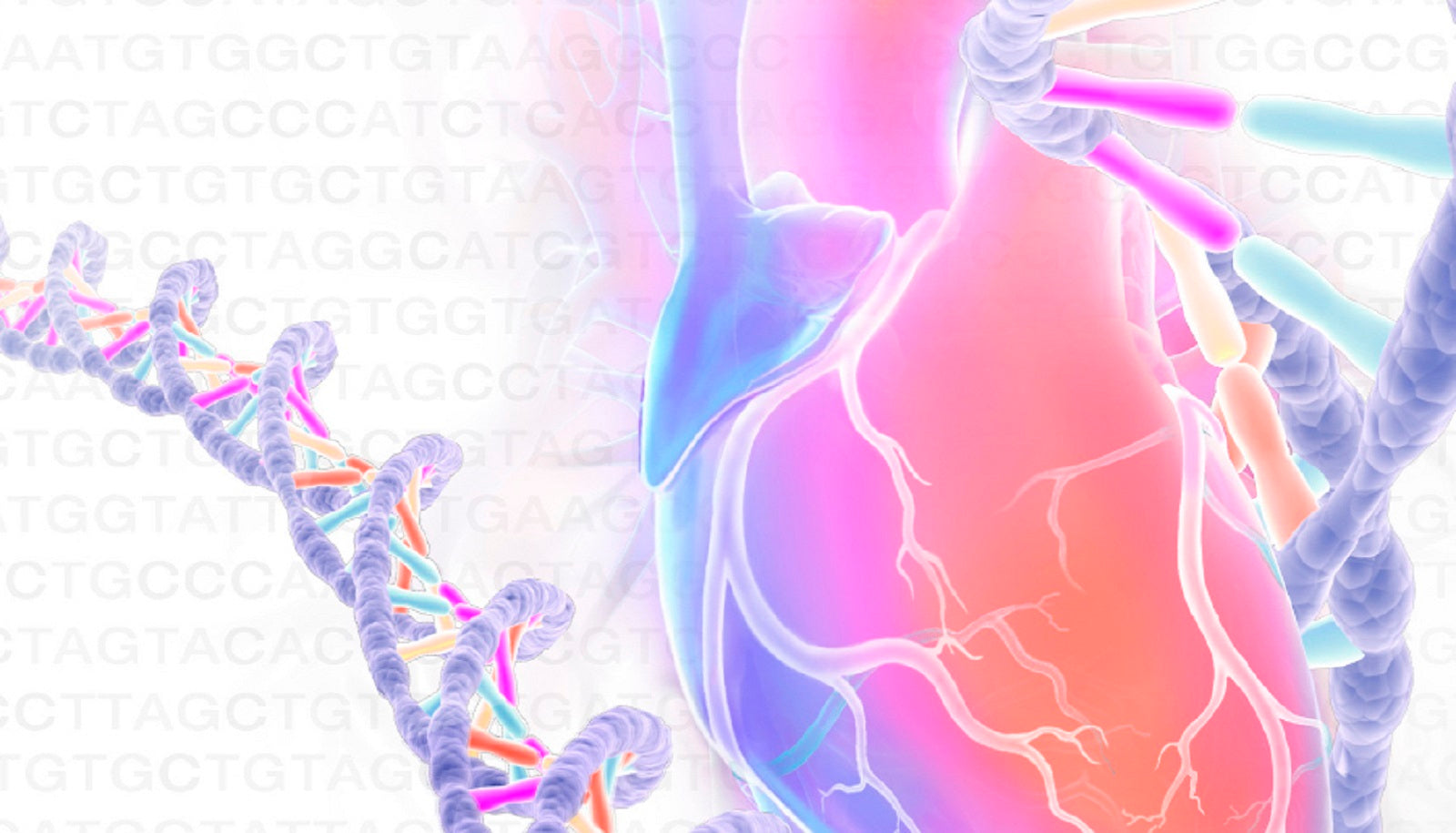 Mayo Clinic Echo Alaska Frontiers of Multimodality Imaging Including Echo, Cardiac CT and MRI 2023