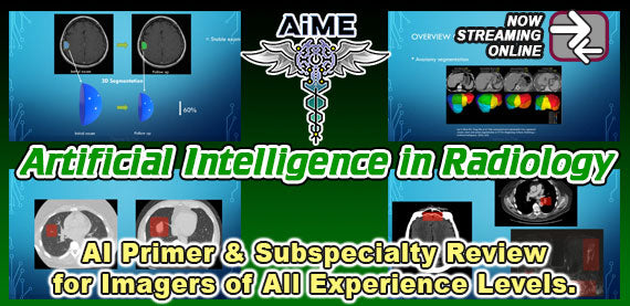 Artificial Intelligence in Radiology 2023