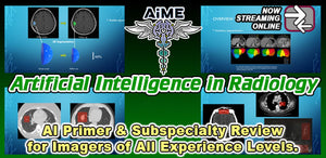 Artificial Intelligence in Radiology 2023