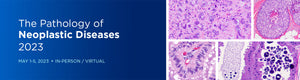 MSKCC The Pathology of Neoplastic Diseases 2023