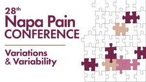 Neurovations The 28th Napa Pain Conference Sessions 2021