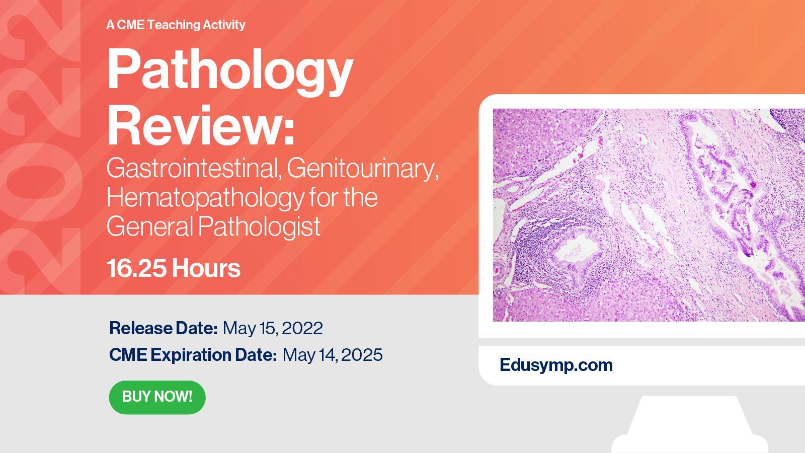 Pathology Review: Gastrointestinal, Genitourinary and Hematopathology for the General Pathologist 2022