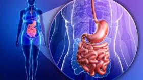 Chicago Sixth Annual Updates in Digestive Diseases 2021