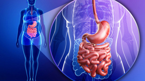 Chicago Medicine 8th Annual Updates in Digestive Diseases 2023