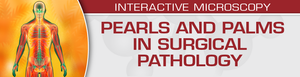 USCAP Pearls and Palms in Surgical Pathology 2022