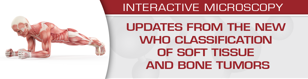 USCAP Updates from the New WHO Classification of Soft Tissue and Bone Tumors 2020