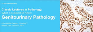 2019 Classic Lectures in Pathology What You Need to Know Genitourinary Pathology - Medical Videos | Board Review Courses