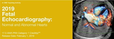 2019 Fetal Echocardiography Normal and Abnormal Hearts - Medical Videos | Board Review Courses