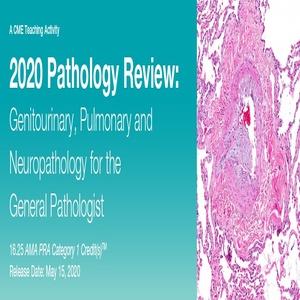 2020 Pathology Review Genitourinary, Pulmonary and Neuropathology for the General Pathologist - Medical Videos | Board Review Courses
