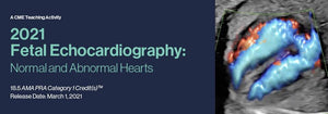 2021 Fetal Echocardiography: Normal and Abnormal Hearts - Medical Videos | Board Review Courses