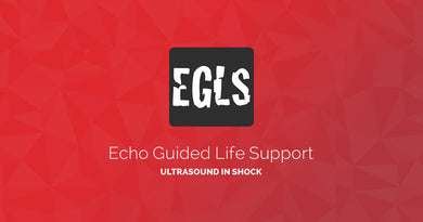 ECHO-Guided Life Support Using ultrasound to categorise shock and guide initial management - Medical Videos | Board Review Courses