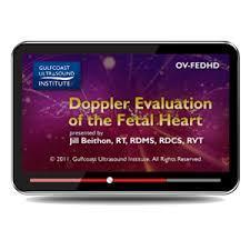 Gulfcoast Doppler Evaluation of the Fetal Heart - Medical Videos | Board Review Courses