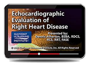 Gulfcoast Echocardiographic Evaluation of Right Heart Disease (Videos+PDFs) - Medical Videos | Board Review Courses