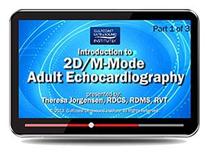 Gulfcoast Introduction to 2D/M-Mode Adult Echocardiography (Videos+PDFs) - Medical Videos | Board Review Courses