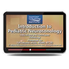 Gulfcoast Introduction to Pediatric Neurosonology - Medical Videos | Board Review Courses