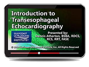 Gulfcoast Introduction to Transesophageal Echocardiography (Videos+PDFs) - Medical Videos | Board Review Courses