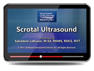 Gulfcoast Scrotal Ultrasound (Videos+PDFs) - Medical Videos | Board Review Courses