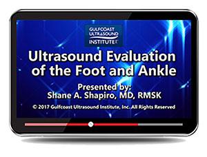 Gulfcoast Ultrasound Evaluation of the Foot and Ankle (Videos+PDFs) - Medical Videos | Board Review Courses