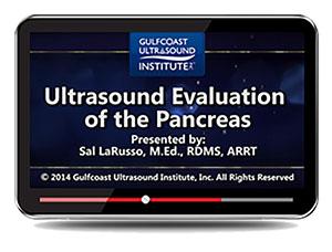 Gulfcoast Ultrasound Evaluation of the Pancreas (Videos+PDFs) - Medical Videos | Board Review Courses