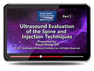 Gulfcoast Ultrasound Evaluation of the Spine and Injection Techniques (Videos) - Medical Videos | Board Review Courses