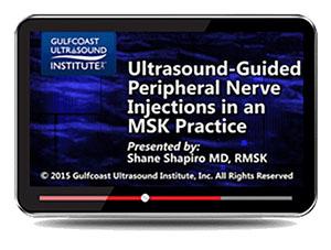 Gulfcoast Ultrasound Guided Peripheral Nerve Injections in an MSK Practice (Videos+PDFs) - Medical Videos | Board Review Courses