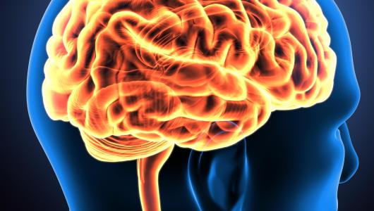 Harvard Neurological Emergencies 2021 - Medical Videos | Board Review Courses