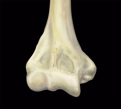 MRIOnline MRI Mastery Series Elbow 2021 - Medical Videos | Board Review Courses