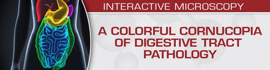 USCAP A Colorful Cornucopia of Digestive Tract Pathology 2022 - Medical Videos | Board Review Courses