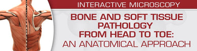 USCAP Bone and Soft Tissue Pathology from Head to Toe: An Anatomical Approach 2022 - Medical Videos | Board Review Courses
