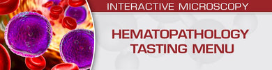 USCAP Hematopathology Tasting Menu: A Sampling of Delightful Diagnostic Challenges 2021 - Medical Videos | Board Review Courses