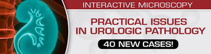 USCAP Practical Issues in Urologic Pathology – 40 New Cases! 2021 - Medical Videos | Board Review Courses