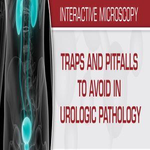 USCAP Traps And Pitfalls To Avoid In Urologic Pathology 2019 - Medical Videos | Board Review Courses