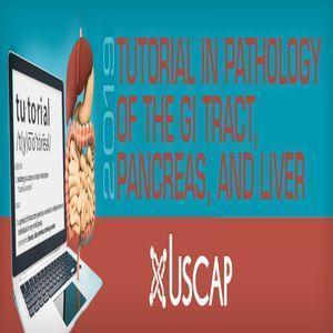 USCAP Tutorial in Pathology of the GI Tract, Pancreas and Liver 2019 - Medical Videos | Board Review Courses